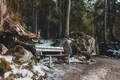 Bench Park Landscape