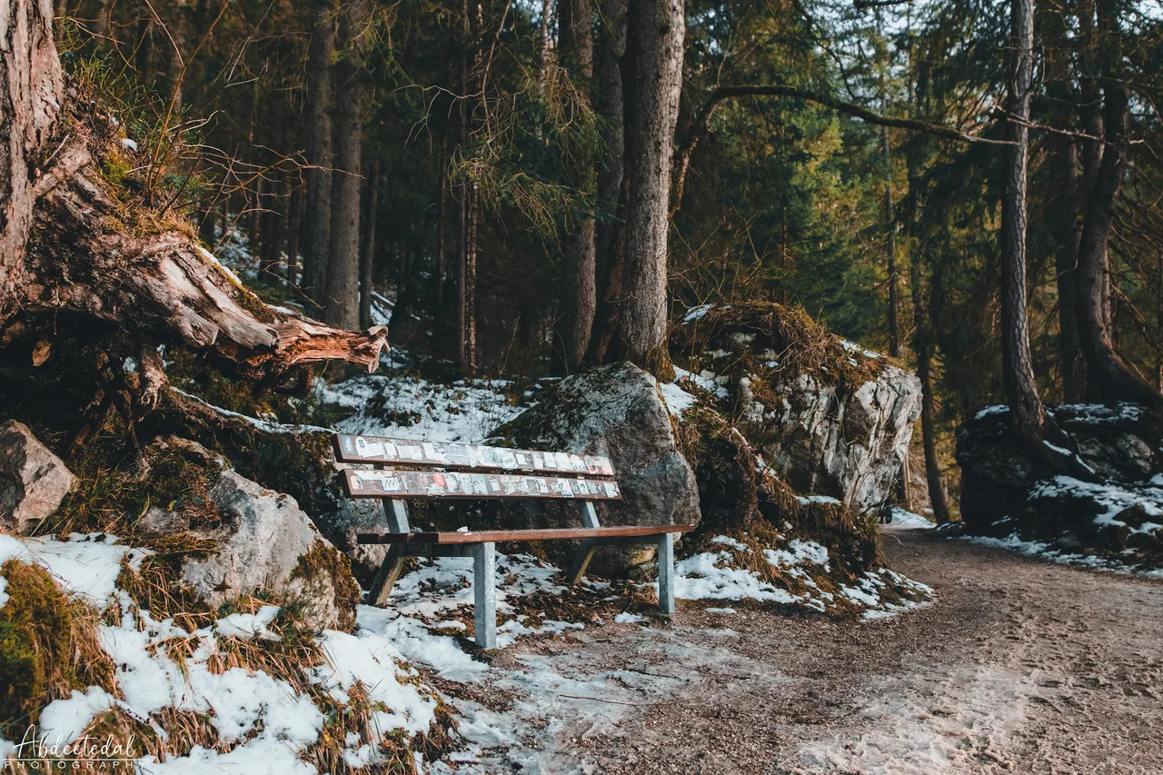 Bench Park Landscape