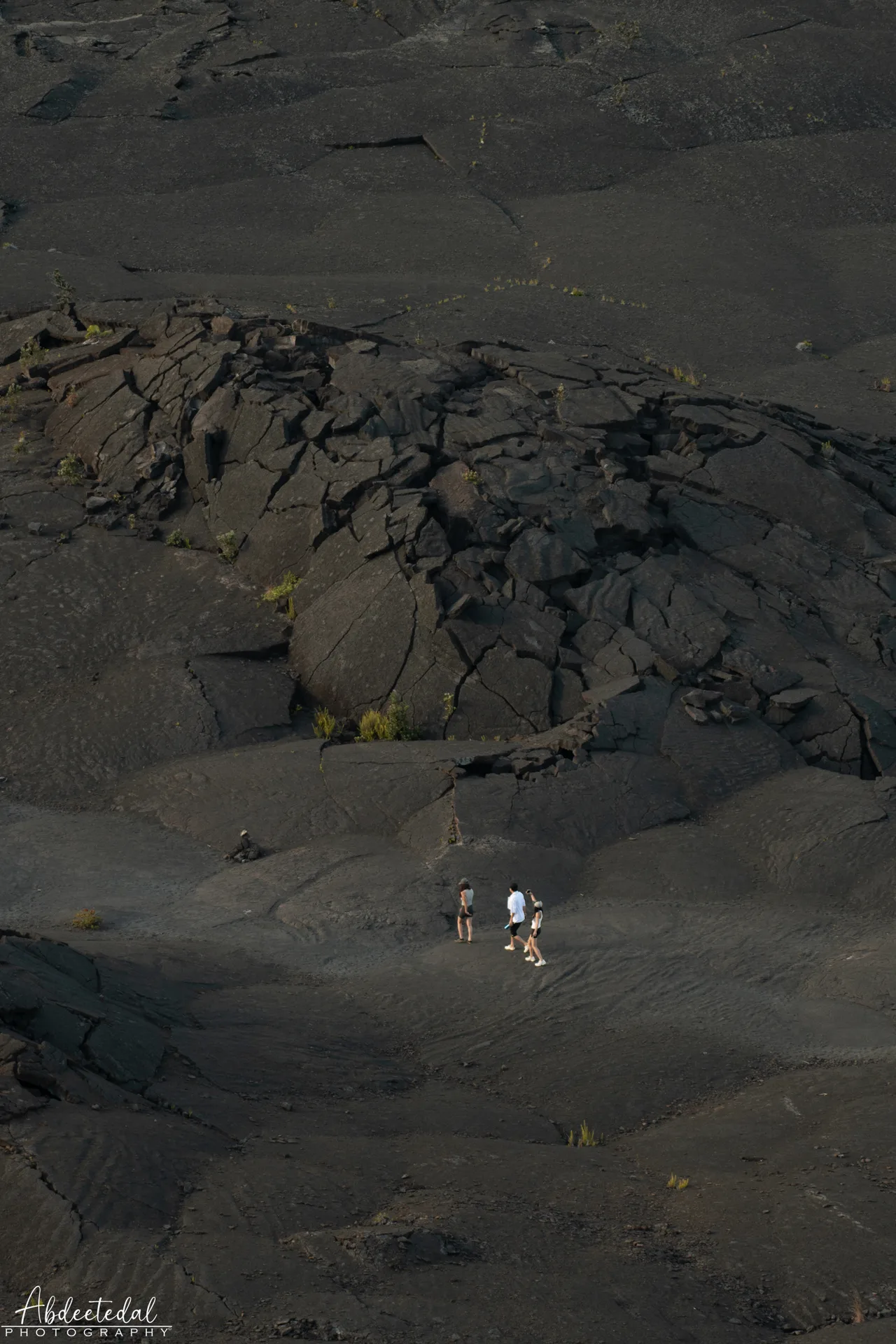 Black Backpack Desert