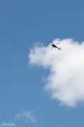 Cloud Aerial Minimal