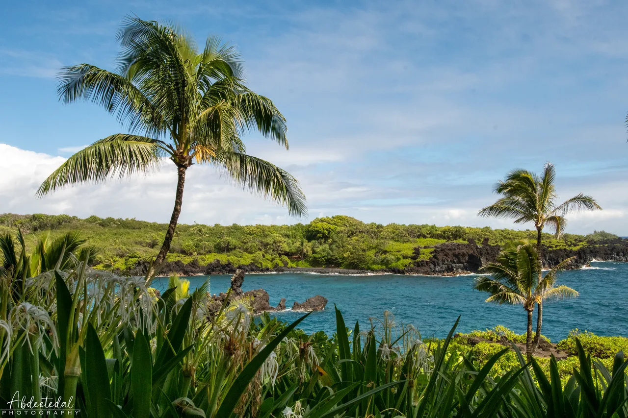 Landscape Beach Ocean