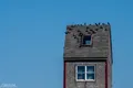 Roof Bird Window