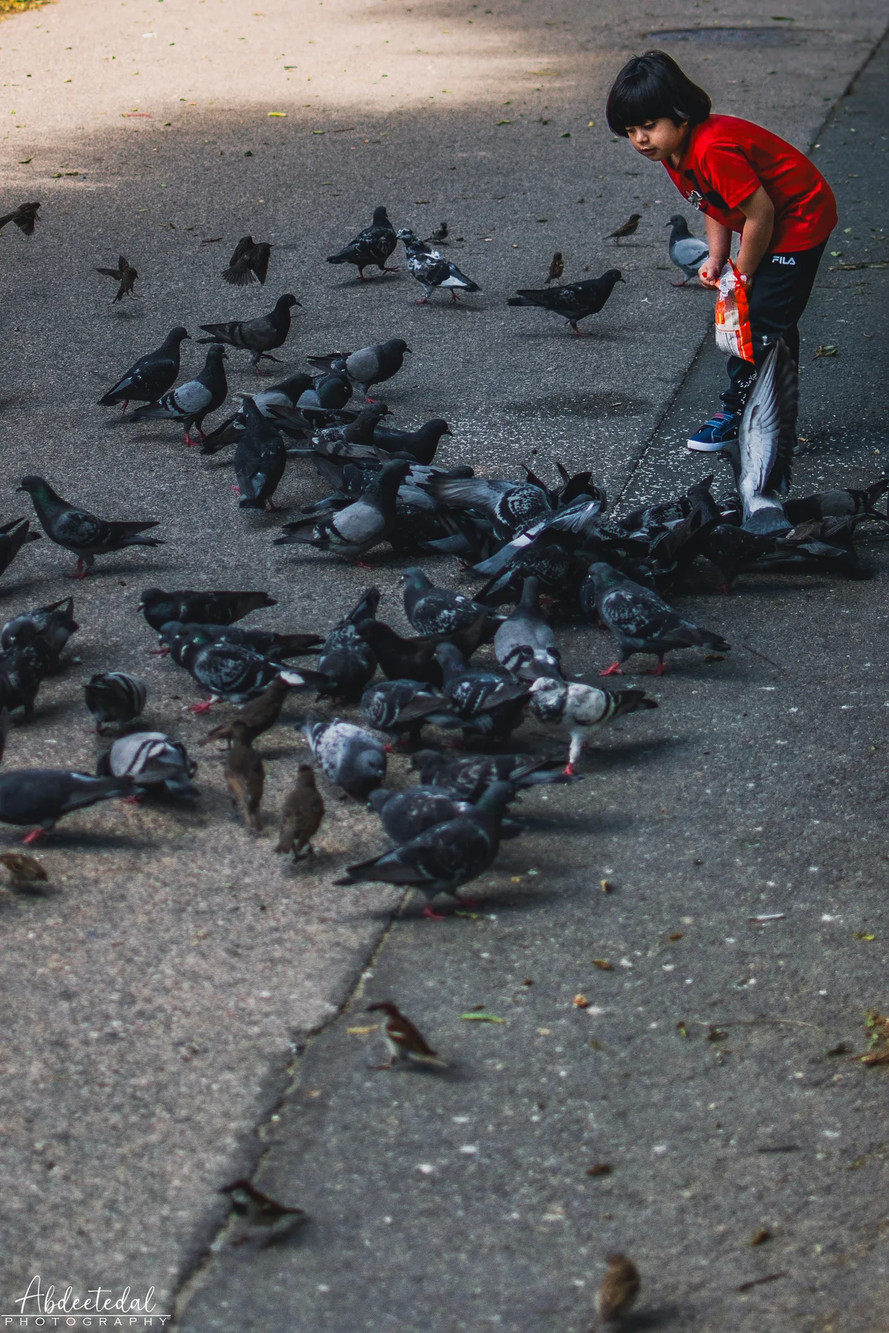 Street Bird Park