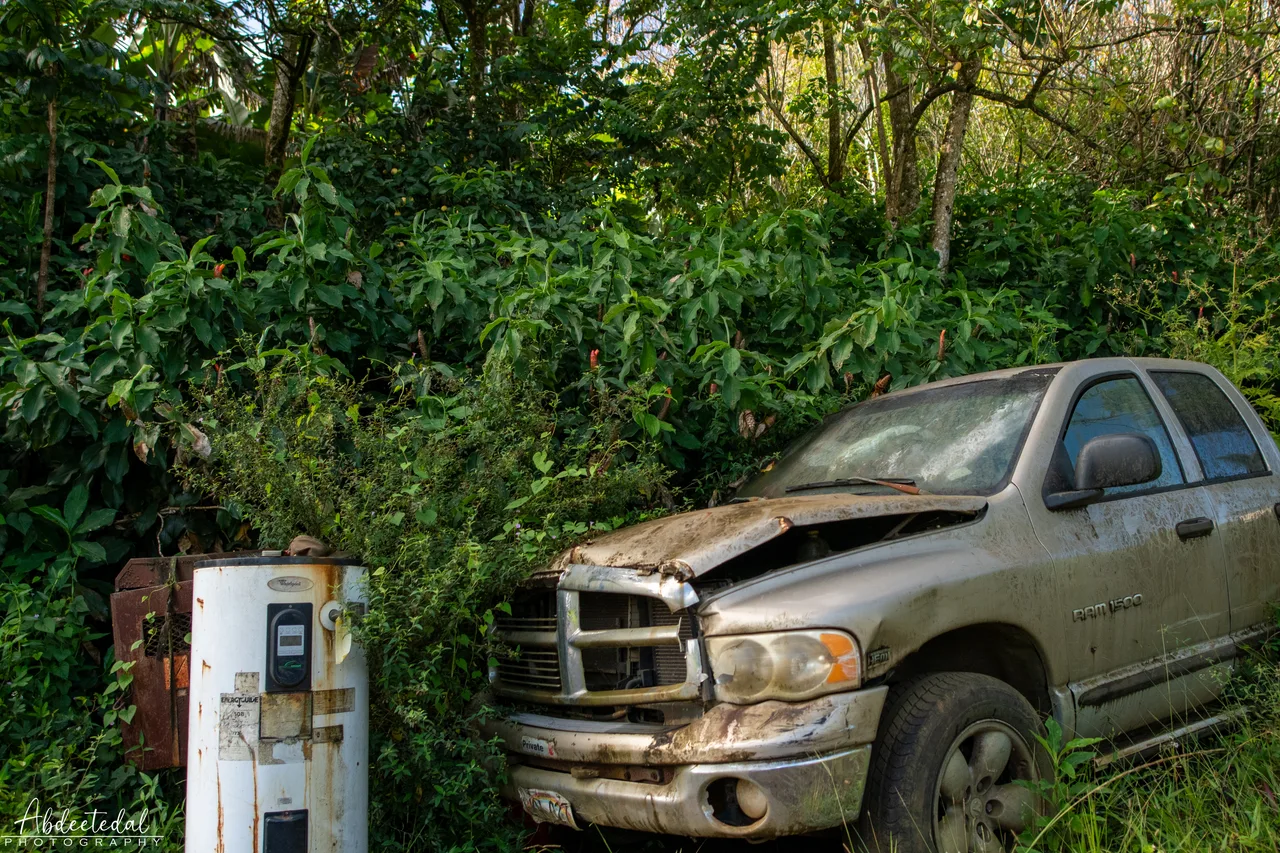 Truck Green Still