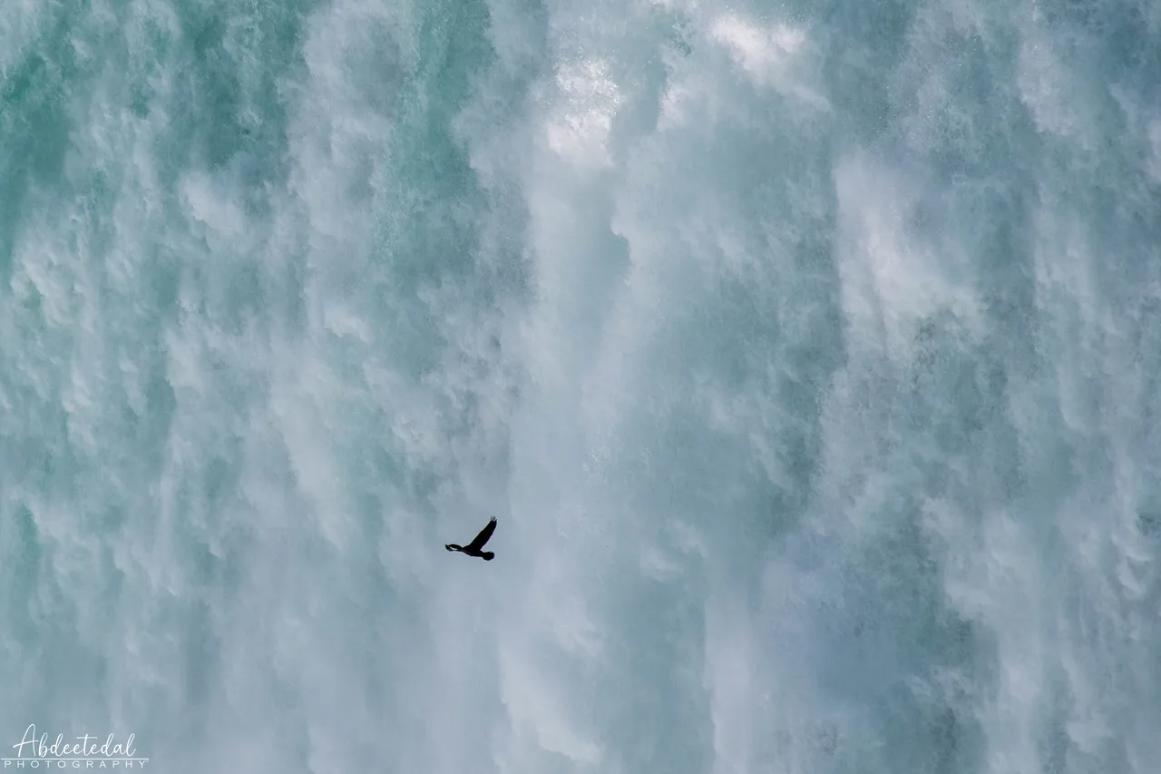 Waterfall Fountain Bird