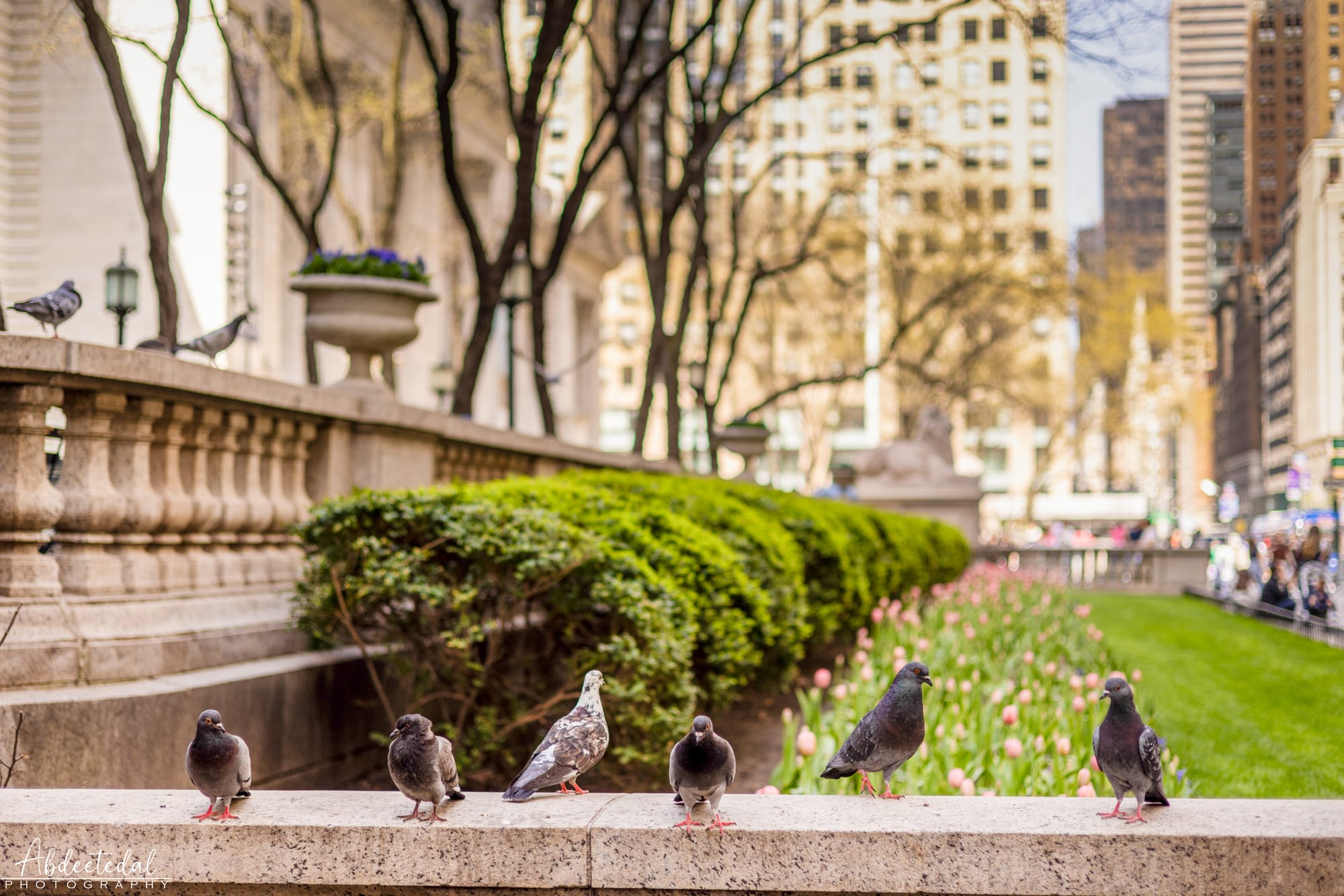 New York’s Eiffel Tower