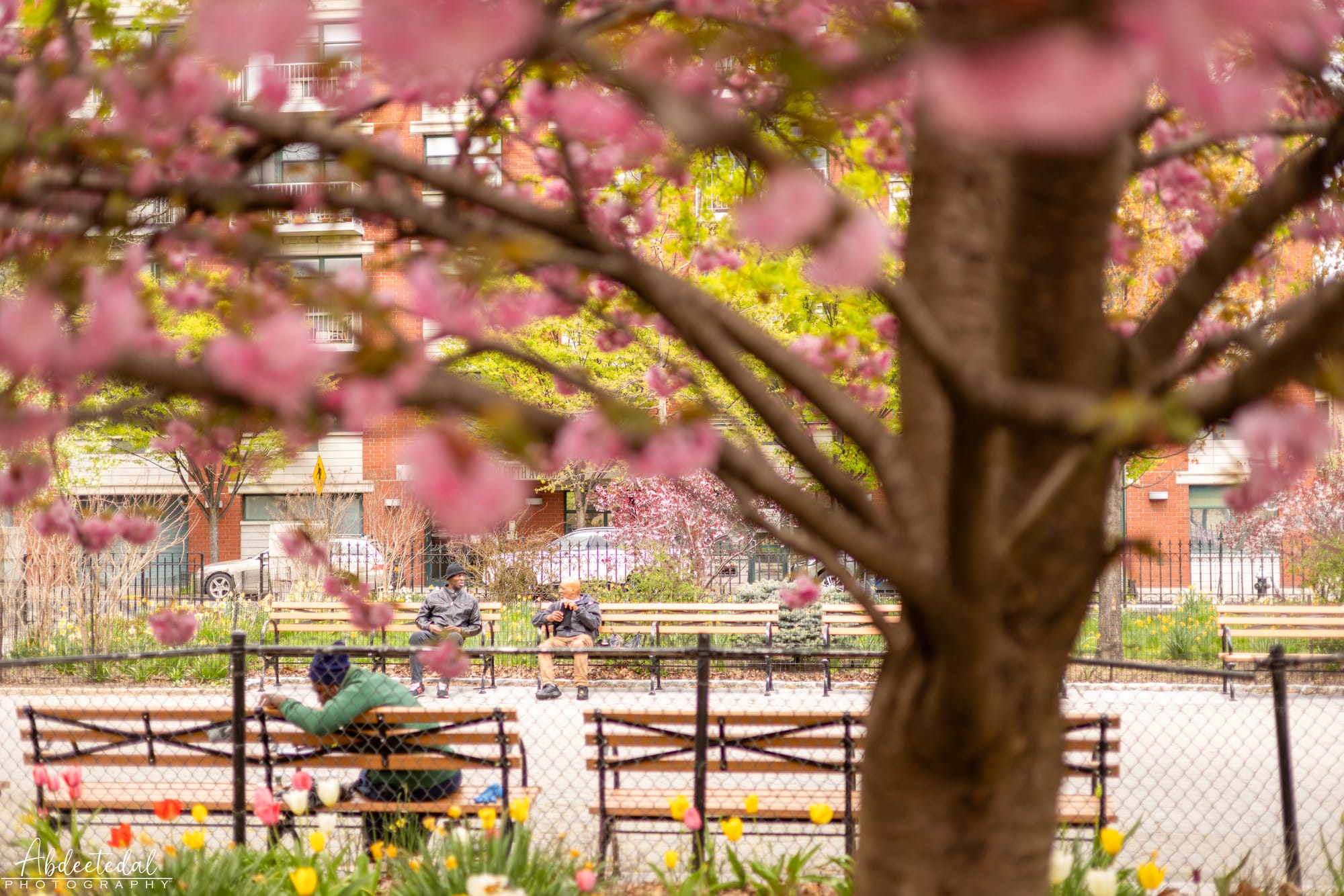 You’re in Harlem, respect it.