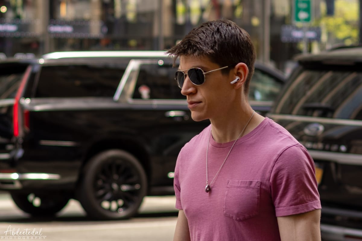 Portraits in Passing