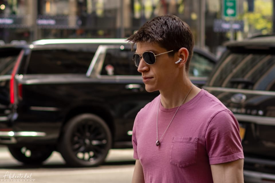 Portraits in Passing