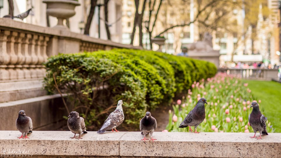 New York’s Eiffel Tower