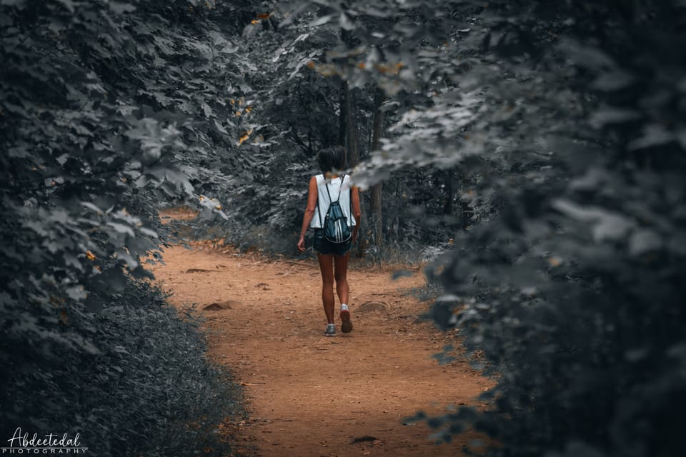 Walking Through the Frame